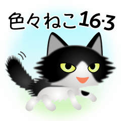[LINEスタンプ] 色々な猫16-3 長毛-立ち耳-黒白