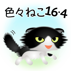 [LINEスタンプ] 色々な猫16-4 長毛-垂れ耳-黒白