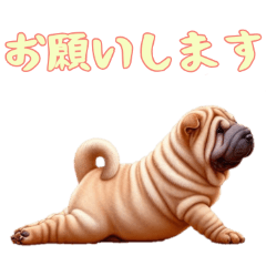 [LINEスタンプ] [お願いします専用]ペキニーズ