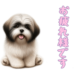 [LINEスタンプ] [お疲れ様です専用]ラサアプソ