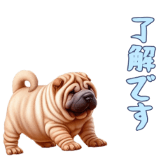 [LINEスタンプ] [了解です専用]ペキニーズ
