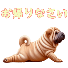 [LINEスタンプ] [お帰りなさい専用]ペキニーズ