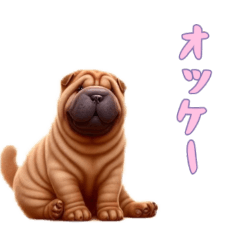 [LINEスタンプ] [オッケー専用]ペキニーズ