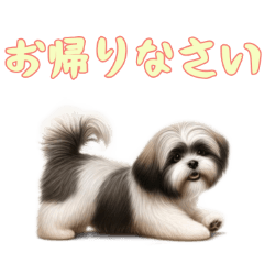 [LINEスタンプ] [お帰りなさい専用]ラサアプソ