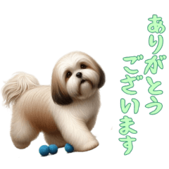 [LINEスタンプ] [ありがとうございます専用]ラサアプソ