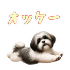 [LINEスタンプ] [オッケー専用]ラサアプソ