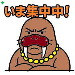 [LINEスタンプ] セイウチぱぱ fetchpriority=high