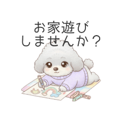 [LINEスタンプ] トイプードル（子育て中に使いやすい敬語）