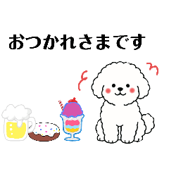 [LINEスタンプ] 気遣いなビションフリーゼ 便利な日常会話