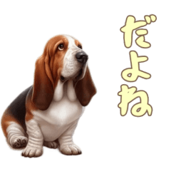 [LINEスタンプ] バセットハウンドと一緒の日常2