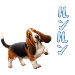 [LINEスタンプ] バセットハウンドと一緒の日常1