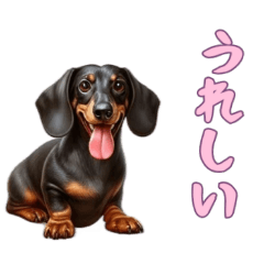 [LINEスタンプ] ダックスフンドと一緒の日常1