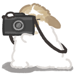 [LINEスタンプ] うさは撮られたい