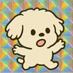 [LINEスタンプ] ホロきらマルチーズのふわふわ便@SFW