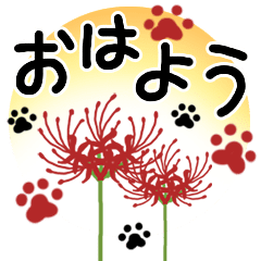 [LINEスタンプ] 彼岸花とおしゃれ肉球