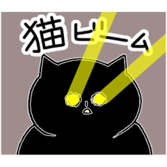 [LINEスタンプ] 猫好きによる猫好きさんのためのスタンプ