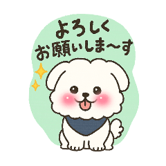 [LINEスタンプ] 白い犬(もふもふ)1