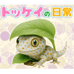 [LINEスタンプ] トッケイの日常