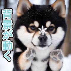 [LINEスタンプ] 背景が動く★冬を感じる_黒柴