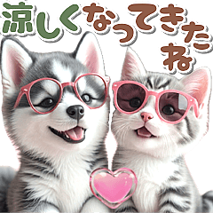 [LINEスタンプ] 秋 残暑 日常♡シベリアンハスキーとネコ