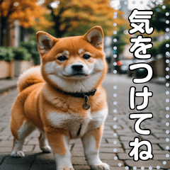 [LINEスタンプ] 可愛い子犬のメッセージスタンプ