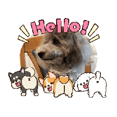 [LINEスタンプ] 動く！可愛い クリシェ2025.10