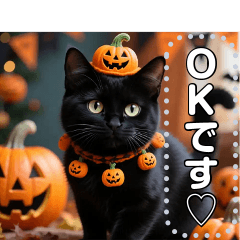 [LINEスタンプ] 黒猫♡ハロウィン