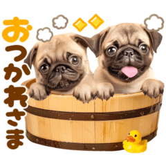 [LINEスタンプ] パグちゃん♡大好き