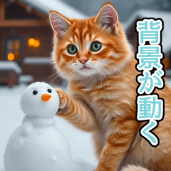 [LINEスタンプ] 背景が動く★冬を感じる茶トラ猫_挨拶
