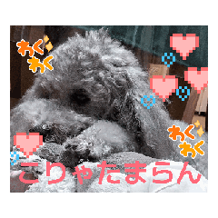 [LINEスタンプ] 可愛いシルバートイ クリシェ25.10