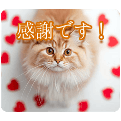 [LINEスタンプ] ゆるかわ猫の引き寄せスタンプ