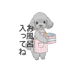 [LINEスタンプ] 家族で使いやすいスタンプ（トイプードル）