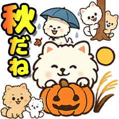 [LINEスタンプ] 秋♡ず～っと使える♡ポメラニアン BIG