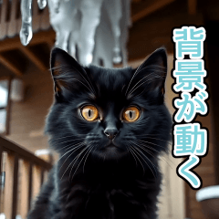 [LINEスタンプ] 背景が動く★冬を感じる黒猫_挨拶