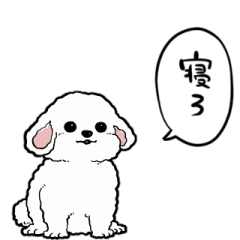 [LINEスタンプ] しゃべる犬(ビションフリーゼ)