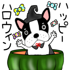 [LINEスタンプ] 【秋】フレンチブルドックのブルちゃん50