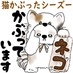 [LINEスタンプ] シーズー犬 2025 「猫をかぶりました」