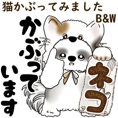 [LINEスタンプ] B＆W シーズー犬 2025 「猫をかぶりました」