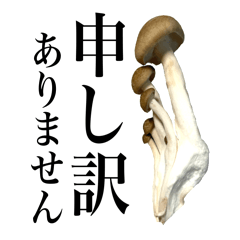 [LINEスタンプ] 敬語しめじ