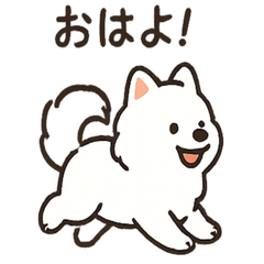 [LINEスタンプ] ふわふわサモエドの日常