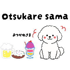 [LINEスタンプ] ビションフリーゼ 便利な英語の日常会話