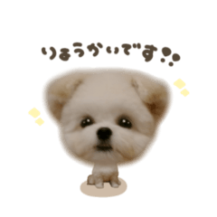 [LINEスタンプ] トックくん☆mix