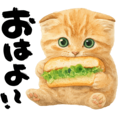 [LINEスタンプ] 優しい水彩♡にゃんこ