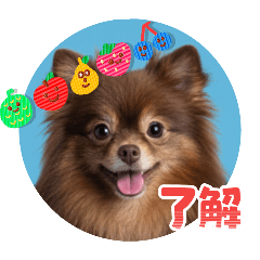 [LINEスタンプ] ポメラニアンのカイ君2