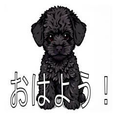 [LINEスタンプ] ミニチュアプードルがいっぱい