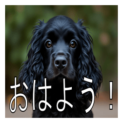 [LINEスタンプ] イングリッシュコッカースパニエルいっぱい