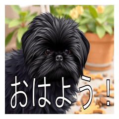 [LINEスタンプ] ラサアプソ