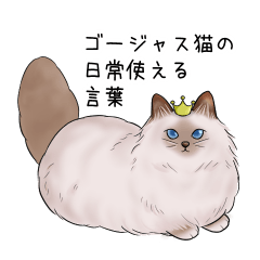 [LINEスタンプ] ゴージャス猫の日常使える言葉