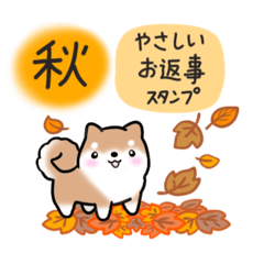 [LINEスタンプ] 【秋】挨拶お返事✴︎まるまる豆柴スタンプ