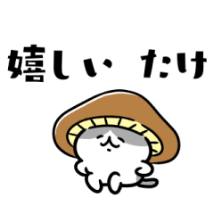 [LINEスタンプ] 秋をまとうネコたち